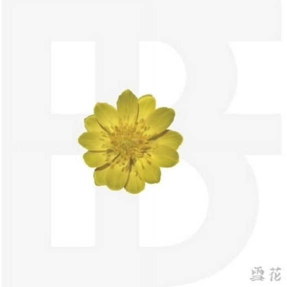 BF - Adonis (incl. 148pg Photobook + 2 Photocards) - Music & Performance - CD