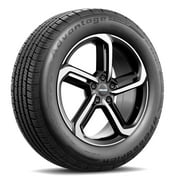 BF Goodrich Advantage Control 205 / 55R17XL 95H