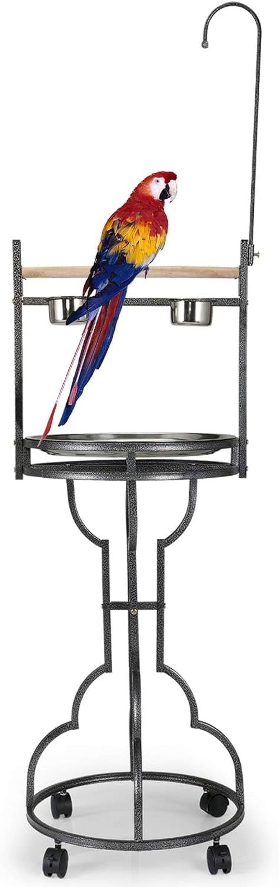 Bfangb 72 Parrot Stand Stainless Steel Tray Bowls Large Bird Photo Inspiration