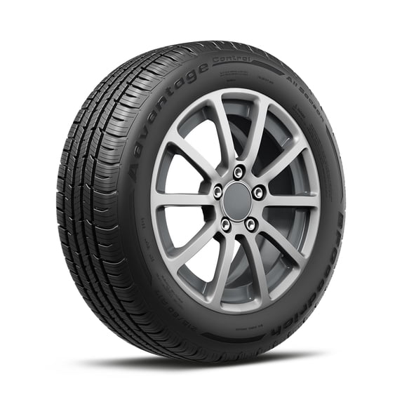 BFGoodrich Advantage Control All Season 255/50R19 107V XL Passenger Tire