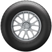 BFGoodrich Rugged Trail T/A All-Terrain Tire P245/65R17 105H Fits: 2006 Ford Explorer XLT, 2003-05 Lincoln Aviator Base Simolary simolary.com 9