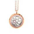 thumbnail image 1 of BG247 Stainless Steel Floating Locket Necklace with Matching Chain (Rose Gold No Stone Circle), 1 of 6