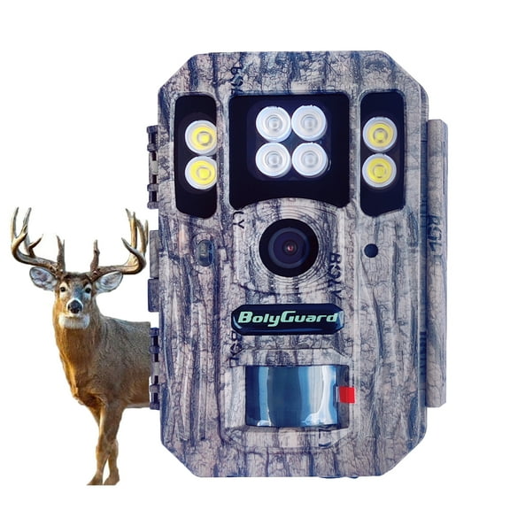 BG662-D Boly 56MP DUAL FLASH 4K Trail Camera Color or Black & White photos & video at Day and Night