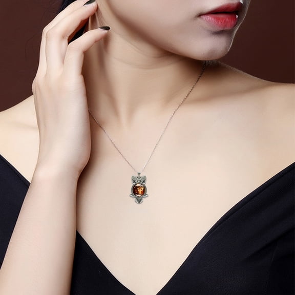 BGZLEU Crystal Owl Necklace,Owl Pendant Necklace,Animal Jewelry,Owl Video,Long Necklace for Women,Insect Animal Theme of Owl,Birthday Memorial Gifts for Women