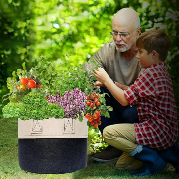 BGZLEU Heavy Duty Fabric Pots, 5 Gallon Aeration Reusable Grow Bags with 500G Thick Nonwoven Fabric and Multi-Purpose Rings, for Low Stress Plant Training Fruits, Vegetables, and Flowers