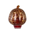 thumbnail image 1 of Better Homes & Gardens Aroma Accents Tortoise Pumpkin Fragrance Oil Plug-in, Spiced Apple Cinnamon, 1 of 13
