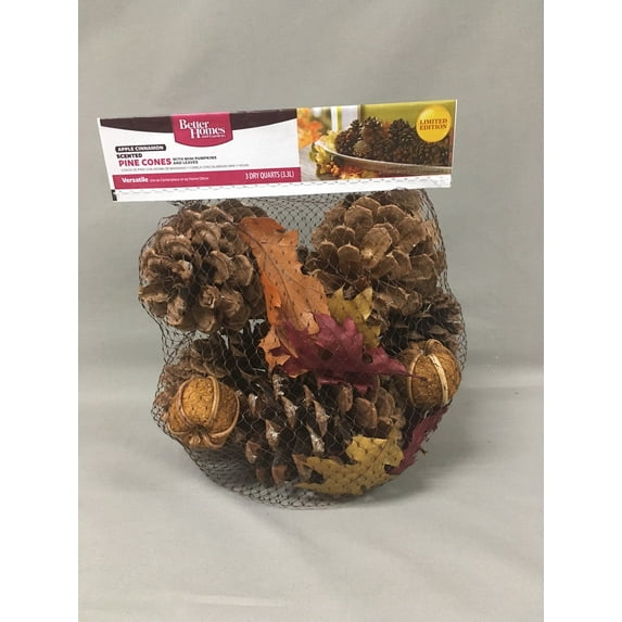 BHG Pinecone with Pumpkins