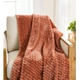 thumbnail interactive-video image 1 of Better Home & Gardens Textured Velvet Plush Super Soft Throw Blanket, Terracotta Clay, 1 of 9