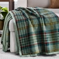 thumbnail image 1 of Better Homes & Gardens Printed Velvet Plush Reverse to Faux Fur Super Soft Throw Blanket, Oversized, Green Plaid, 1 of 9