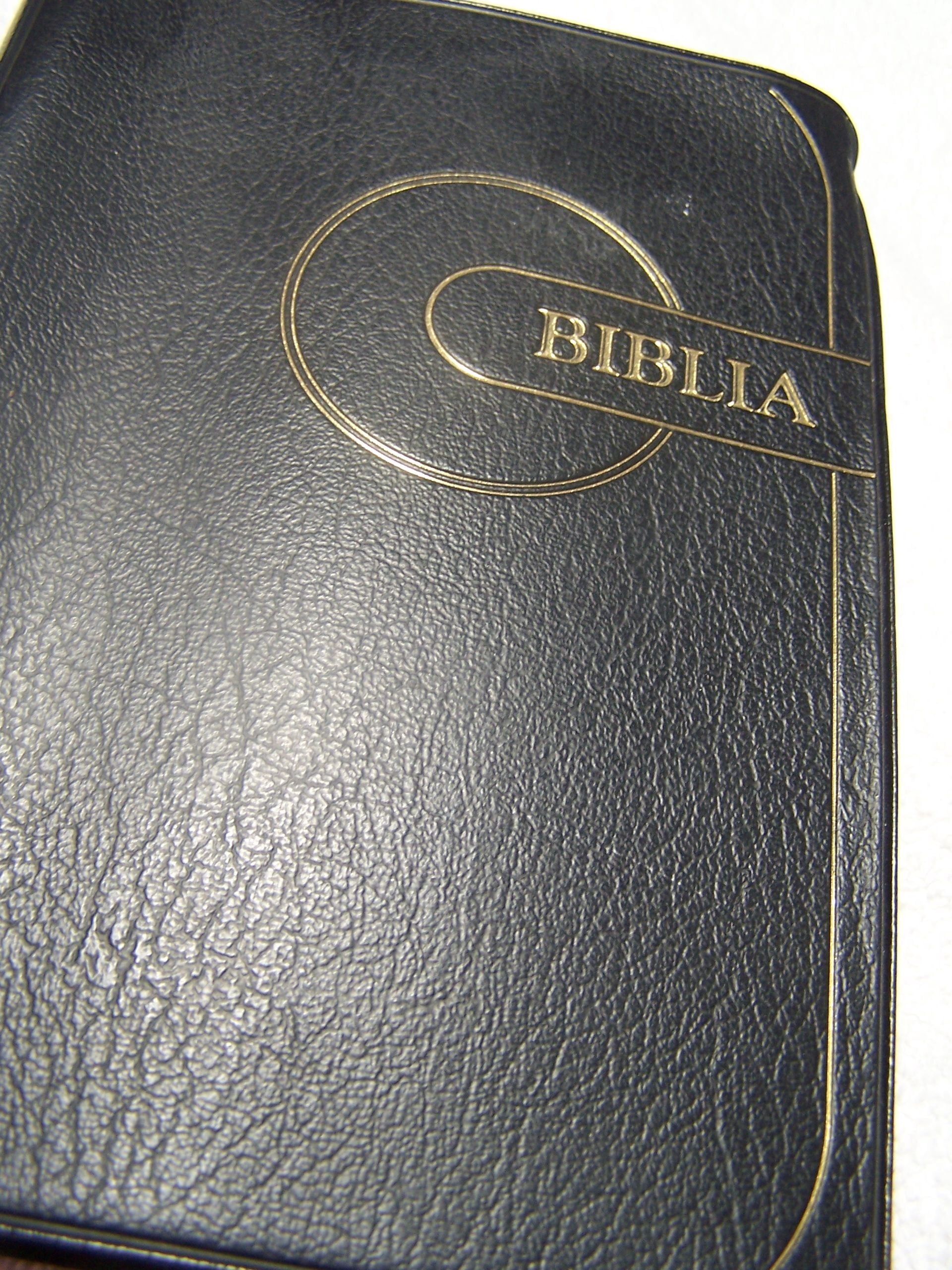 BIBLIA : Swahili Bible (Union Version)