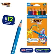 BIC Kids 12 Pack Evolution Coloured Pencils, Vivid, Easy to Sharpen, Extra Durable for School