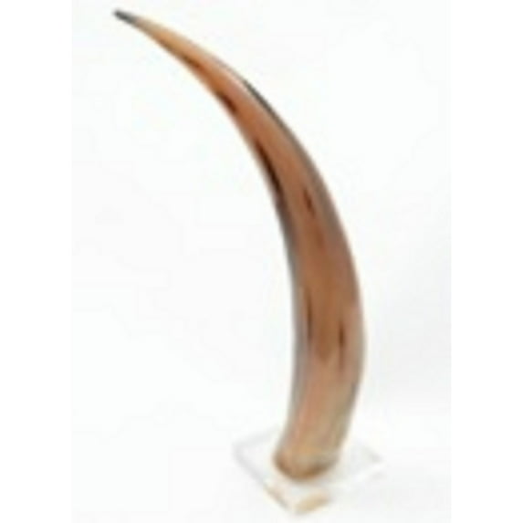 BIDK Home Portico Curved Horn Decoration - 21" - Brown