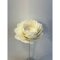 thumbnail image 1 of BIDK Home Shola Lotus Flower Artificial Stem Spray - 39.5" - Beige, 1 of 1