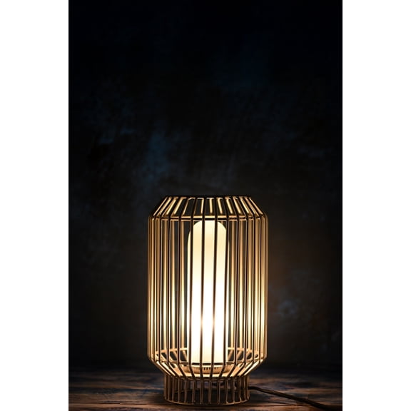 BIDK Home Small Cylindrical Wire Table Lamp with Glass Shade - 13.75" - White