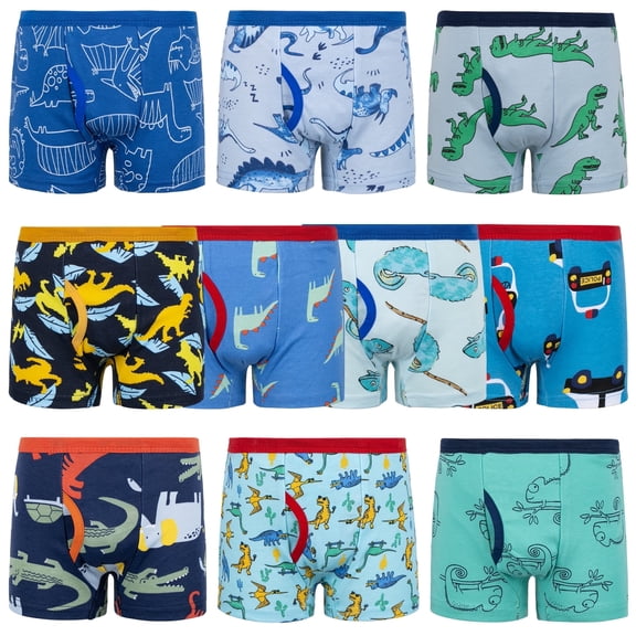 BIG ELEPHANT Boys' Boxer Briefs 10-Pack, Toddler 100% Cotton Dinosaur Print Underwear, Soft and Breathable, Sizes 8-9Y