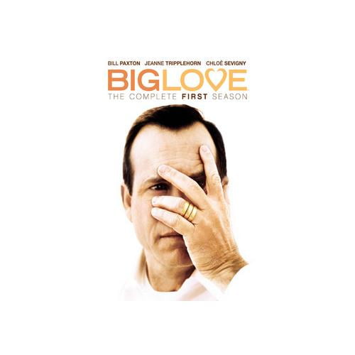 BIG LOVE-COMPLETE 1ST SEASON (DVD/WS/16:9 TRANS/ENG-FR-SP SUB)