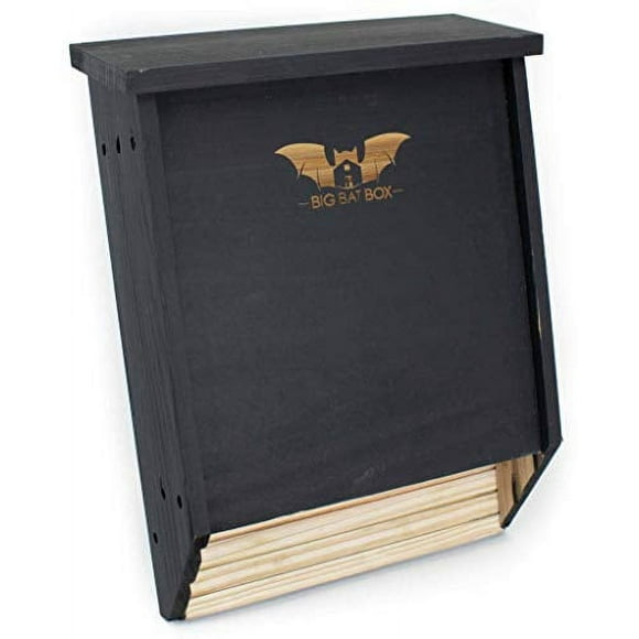 BIGBATBOX -Bat Houses for outdoors - With our proven Bat Box design, you are almost guaranteed to attract bats! Now you too can watch bats swooping in your backyard, cleaning up on your mosquitos