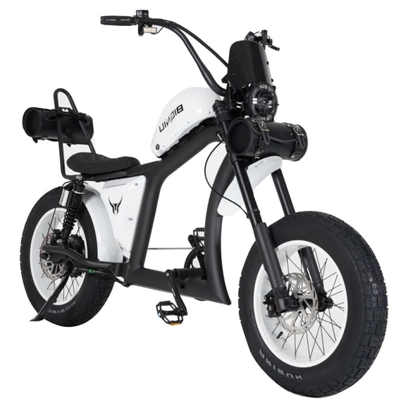 BIGNIU BG-XP Electric Bike for Adults 1500W Motor, 36+ MPH E Chopper Bike 52V 29.4Ah UL 2849
