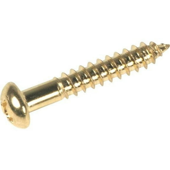 BIGSBY HINGE MOUNTING SCREWS (4) - GOLD