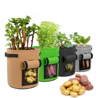 https://i5.walmartimages.com/seo/BIGUY-4-Pack-Potato-Grow-Bags-10-Gallon-Flap-Heavy-Duty-Fabric-Handle-Harvest-Window-Non-Woven-Planter-Pot-Plant-Garden-Vegetables-Tomato-color_8389ecef-9d4a-4d59-a98e-7c83809554fd.ebedf7d3ead0efb71632b095e87e2e53.jpeg?odnHeight=320&odnWidth=320&odnBg=FFFFFF