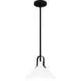 thumbnail image 1 of Brink 1-Light Matte Black Pendant Light, 1 of 6
