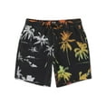 thumbnail image 1 of BILLABONG Mens Black Drawstring, Patterned Shorts S, 1 of 2