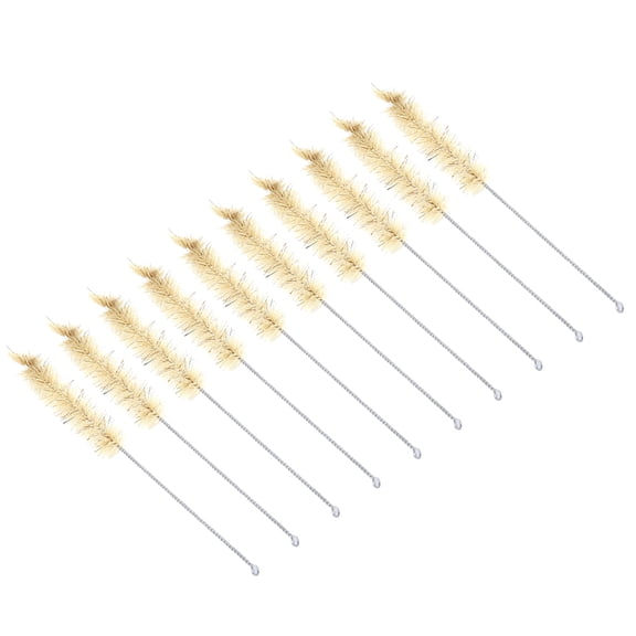 BIMZUC 10PCS Glass Test Tube Cleaning Brushes Bristle Bottle Tube Washing Tools Set, Durable Laboratory Chemistry Science Brushes, Compact Small Size, Rust Resistant Handles (7.87 inches / 20 cm)