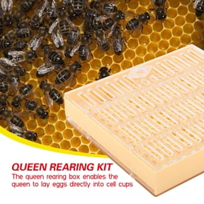 BIMZUC 155Pcs Queen Rearing Kit Bee Cultivating Tool Plastic Beekeeping Box Cell Cup Marking Tube Set for Professional and Beginner Apiary Management, Multicolor (7.09 inches / 18 cm)