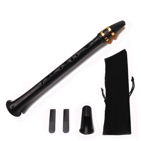 BIMZUC Black Pocket Sax Mini Portable Saxophone Little Saxophone With Carrying Bag Bell Mouth Woodwind Instrument For Beginners Includes Two Alto Resin Reeds
