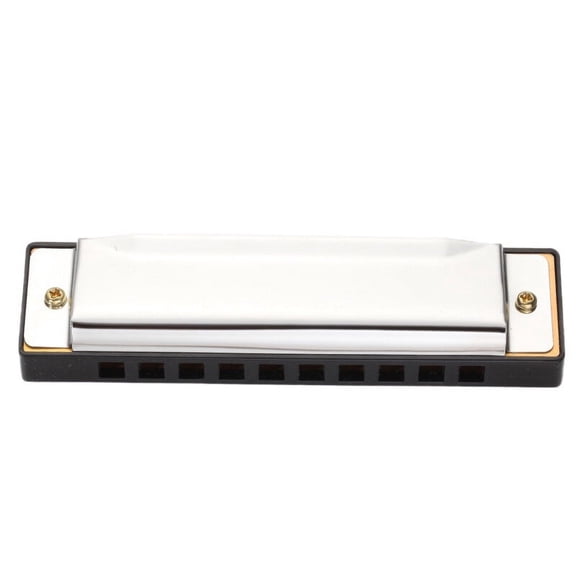 BIMZUC Blues Harmonica 10 Holes for Beginners, Premium Silver ABS and Stainless Steel Construction, Lightweight Compact Portable Musical Instrument, Perfect for Students and Music Enthusiasts