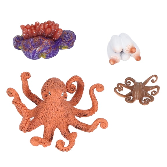 BIMZUC Growth Cycle Model Vinyl Material Safe Odorless Vivid Real Octopus Animal Life Cycle Model for Above 3 Years Old