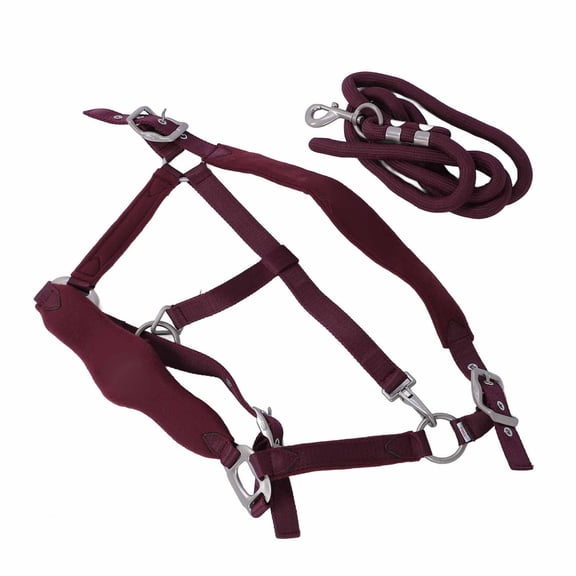 BIMZUC Horse Halter Set Prevent Rubbing Adjustable Soft Horse Training Halter with 6.56 ft / 2 m Horse Leash for Training Daily Equestrian Care, Wine Red, Large