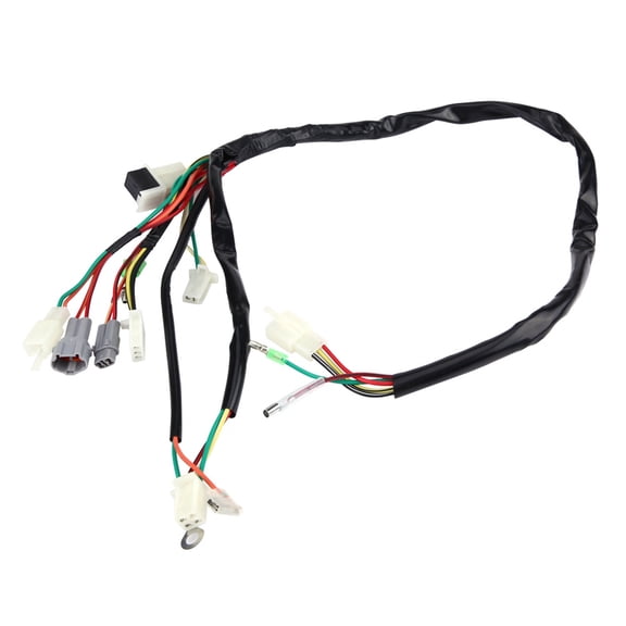 BIMZUC Motorcycle Replacement Wire Wiring Harness Assembly Compatible With Yamaha PW50