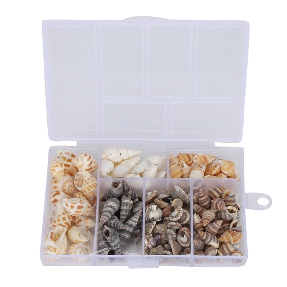 BIMZUC Natural Sea Snail Shells Jewelry Craft DIY Conch Home Wedding Decorations Ornament for Beach Themed Parties, Fish Tank Decor and Handicraft Projects, 4.7 inches / 12 cm