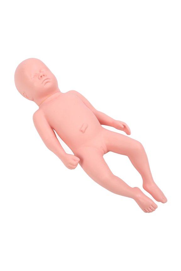 Newborn Model Plastic Educational High Simulation Full Term Baby Simulator Model For Teaching
