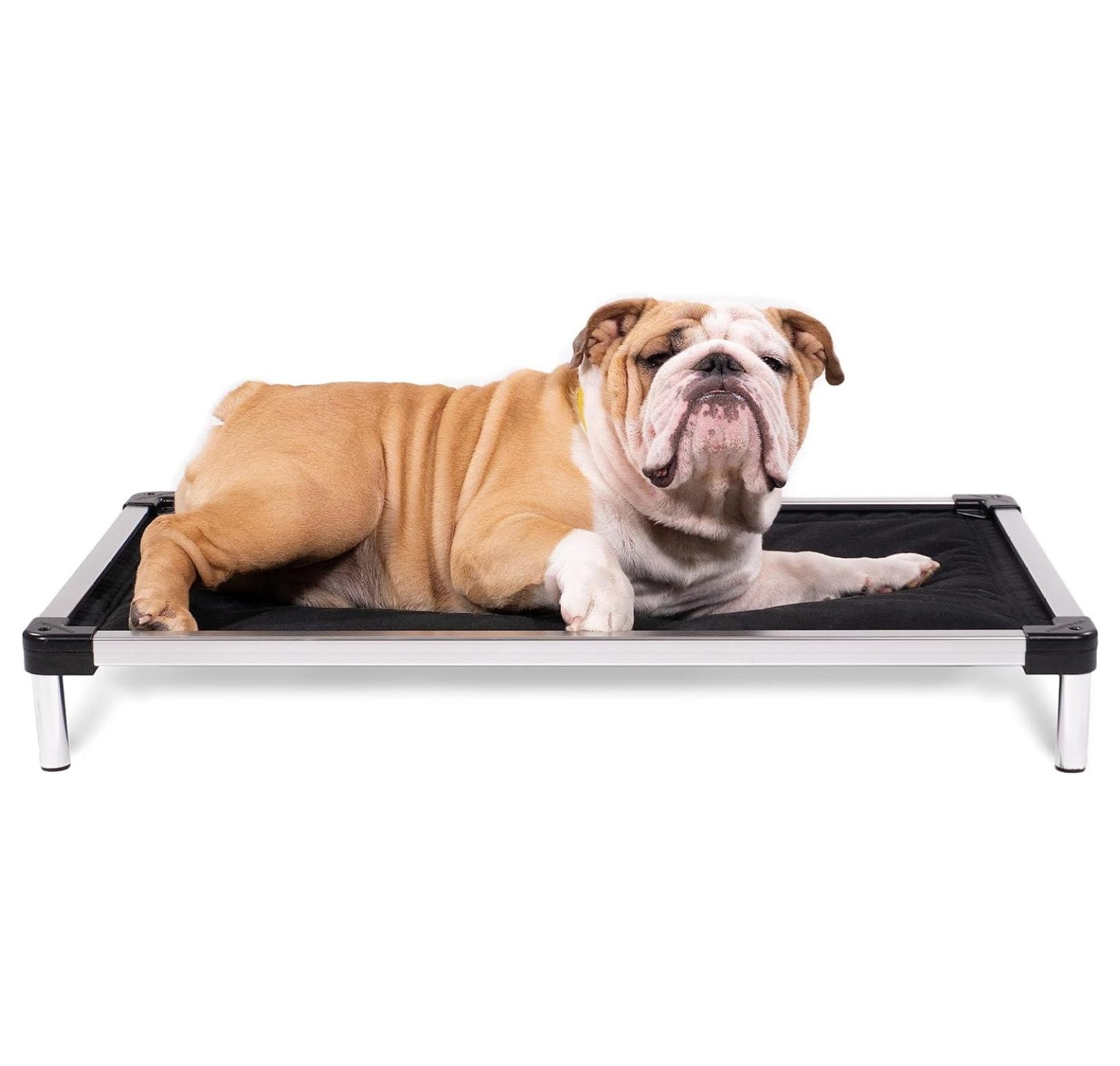 BIN24 Chew Proof Armored Elevated Padded Dog Crate Bed Dog Bed, Chew Resistant Indestructible