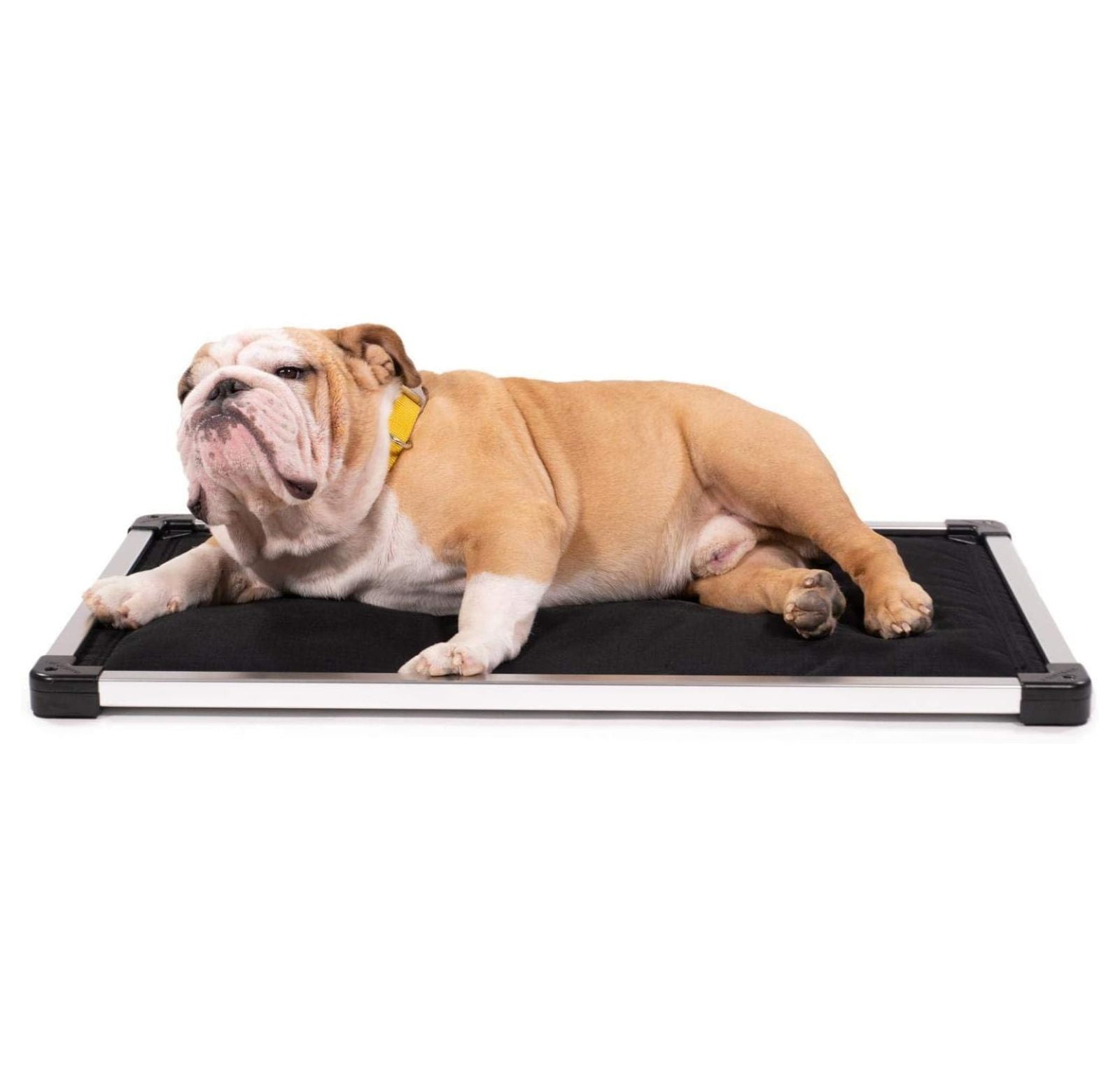 BIN24 Chew Proof Armored Padded Dog Crate Pad Bed, Indestructible Mat M