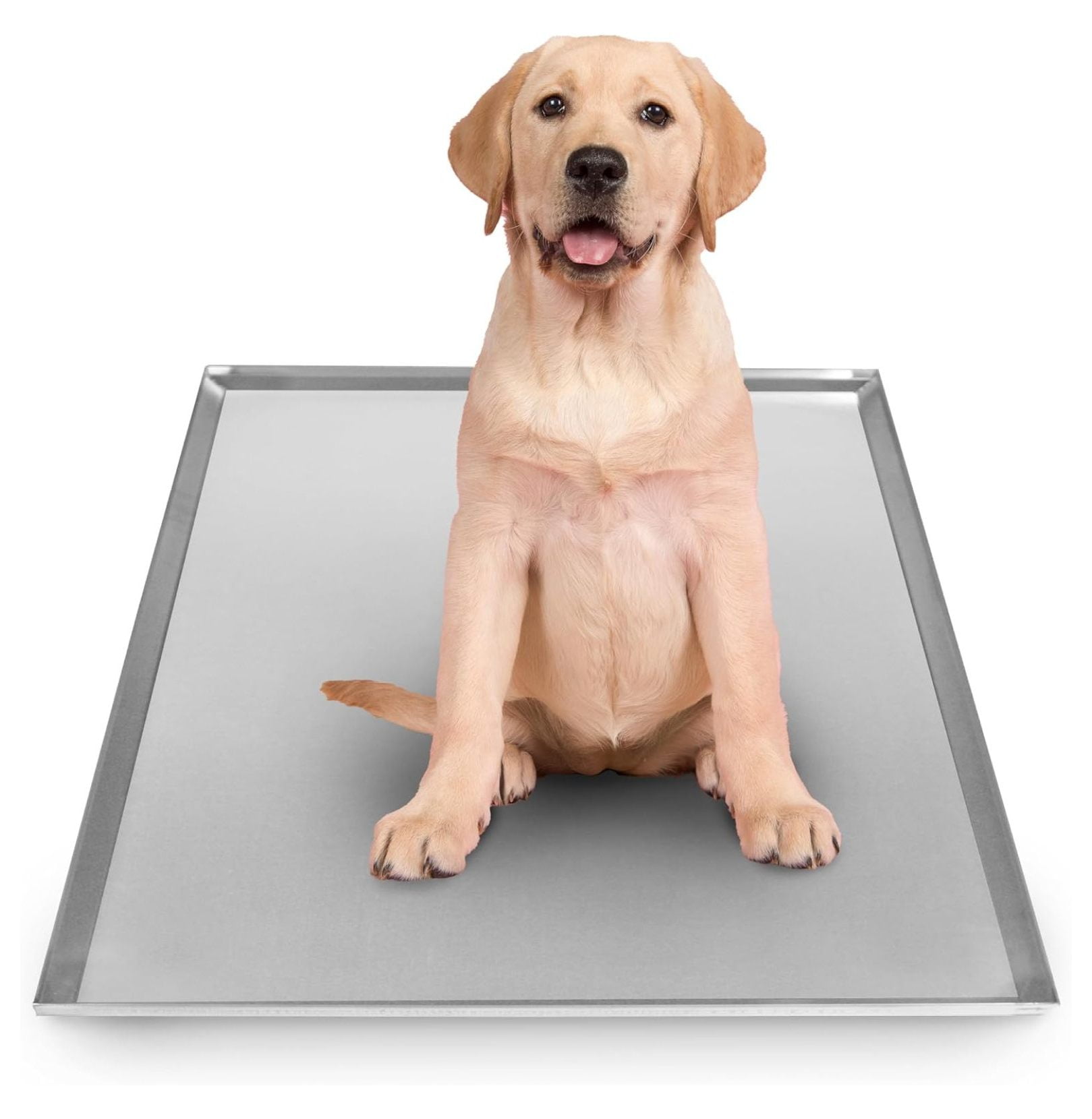BIN24 Metal Replacement Tray for Dog Crate 41 x 27.375 Inches FlatA