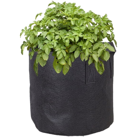 BINARY BARN 20Gallon 2-Pack Grow Bags with handles, Premium Heavy Duty Fabric Gardening Nursery Pots Planter for Vegetables/Flower/Potatos/Tomatos,400G Thicken Growing Bags