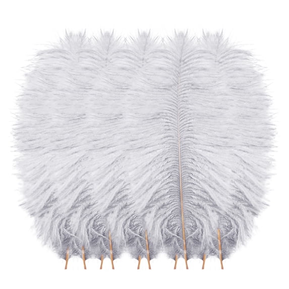 BINGLI 10pcs Fluffy Ostrich Artificial Feathers Arts Crafts Colors (8"-10" Length), DIY Decoration for Wedding Centerpieces, Festival Party