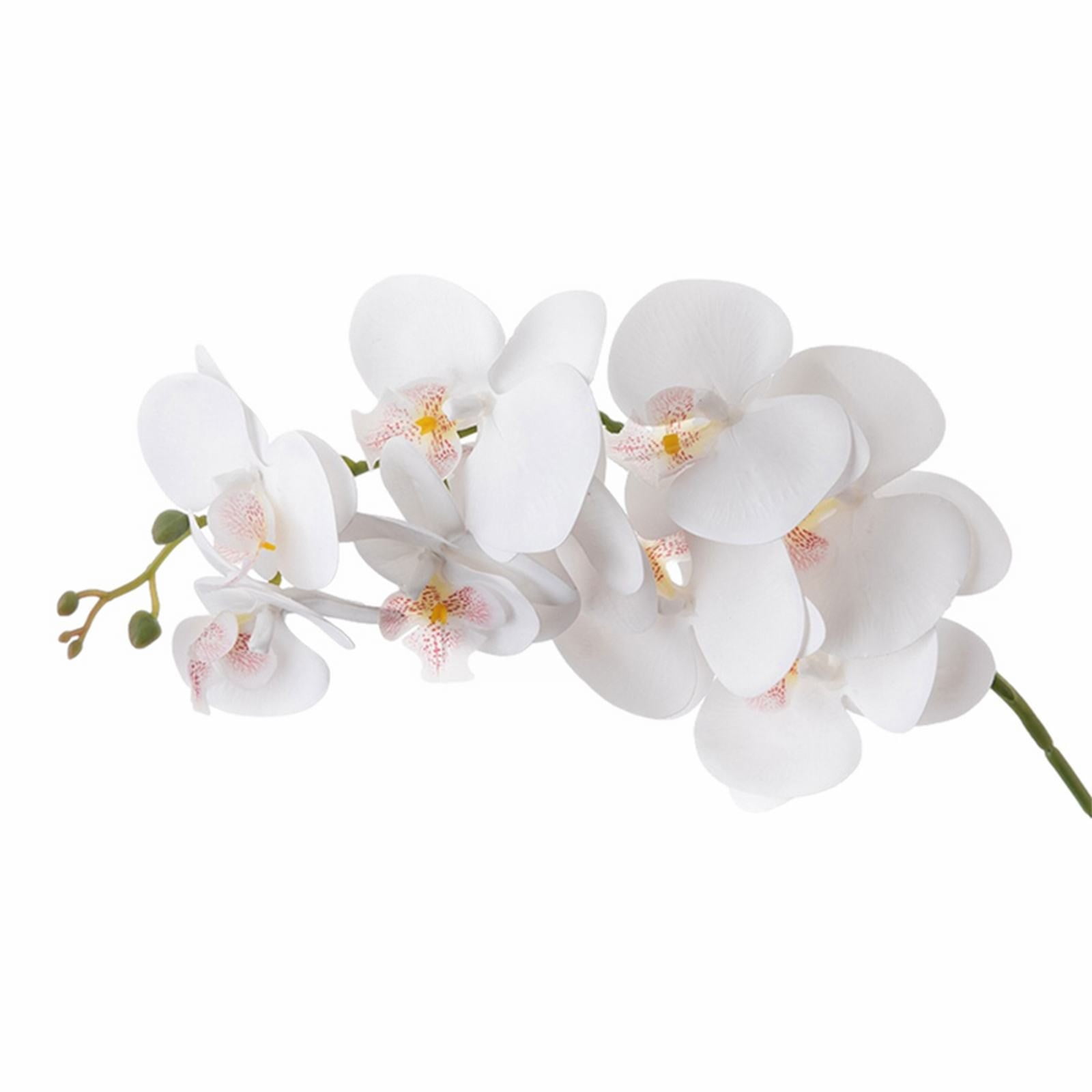 BINGLI Artificial Orchid Flower, Large Petals Realistic Latex Faux Orchids 37in Orchid Stems White Fake Phalaenopsis Flower for Wedding Home Arrangement Dcor