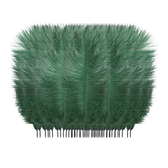 BINGLI Feathers for Crafts Colorful Feathers for DIY Craft Wedding Home Party Decorations Jewelry Making Hats Easter Bonnet Decorations Childrens Plumage Multicoloured 50 Pcs 6-8 inches