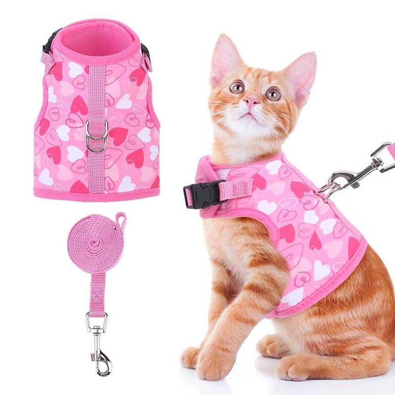 BINGPET Cat Harness and Leash Set Escape Proof for Walking,Step-in