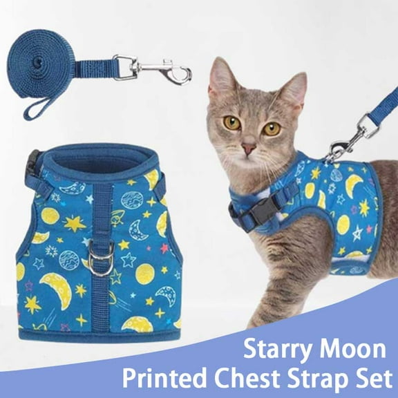 BINGPET Cat Harness with Leash Escape Proof - Fashionable Mesh Cat Dog Walking Harness Leads, Adjustable for Kitties Puppies Small Animals,Galaxy,L
