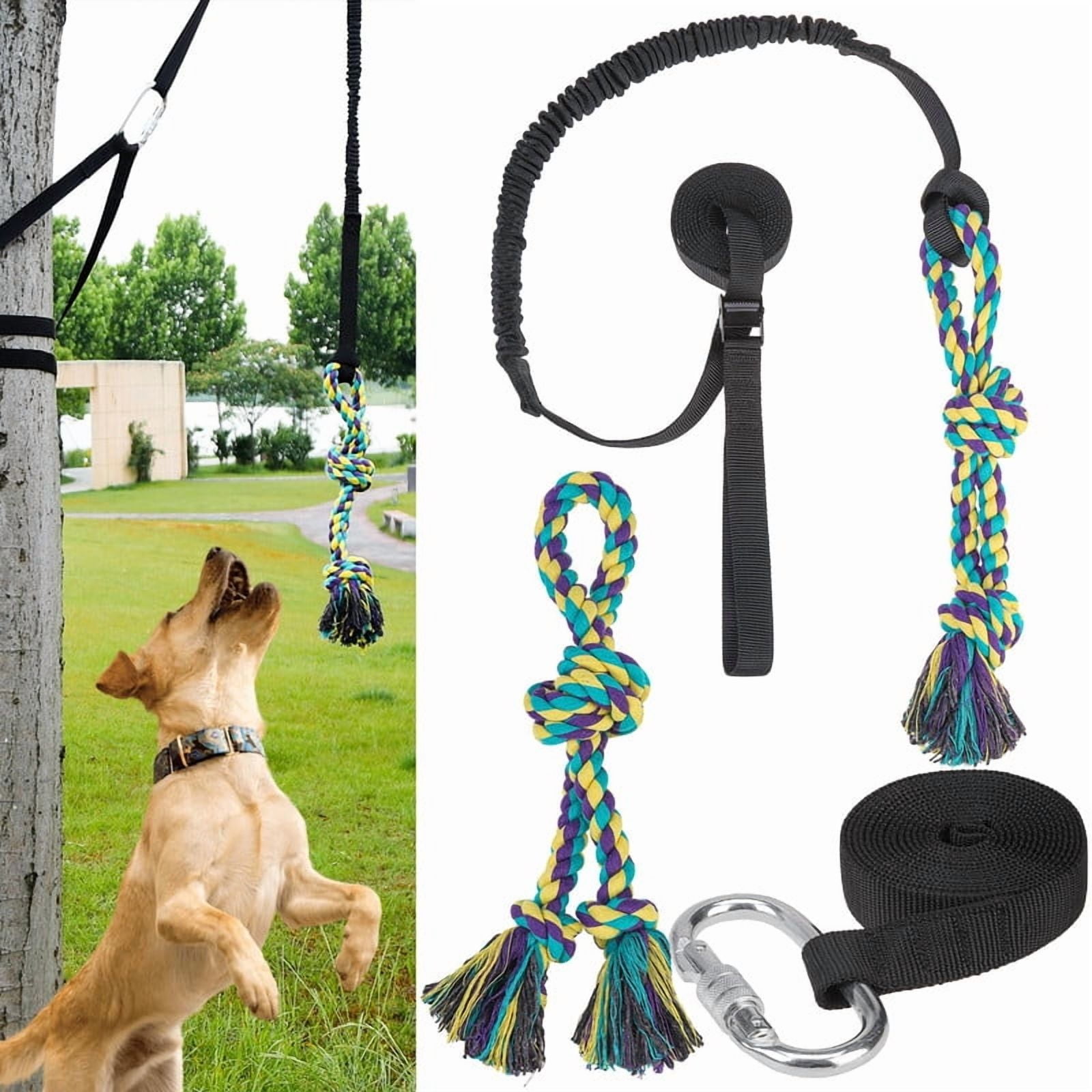 BINGPET Outdoor Dog Hanging Bungee Tug Toy,Heavy Duty Tether Tug - Main Image