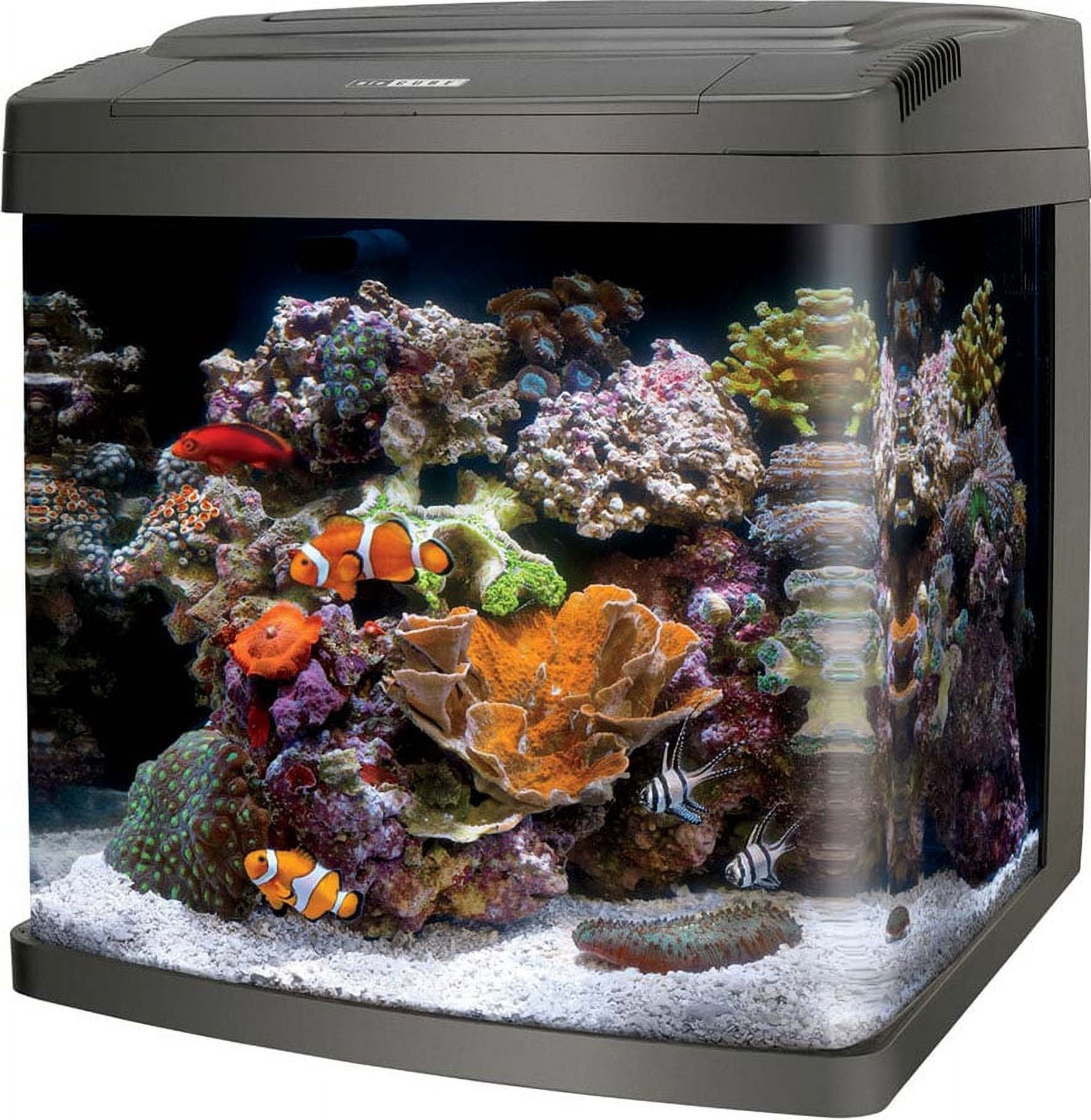 GloFish 2.5 Gallon Corner Aquarium Kit, Includes LED Lighting and  Filtration Perfect for GloFish Betta Fish Tank 