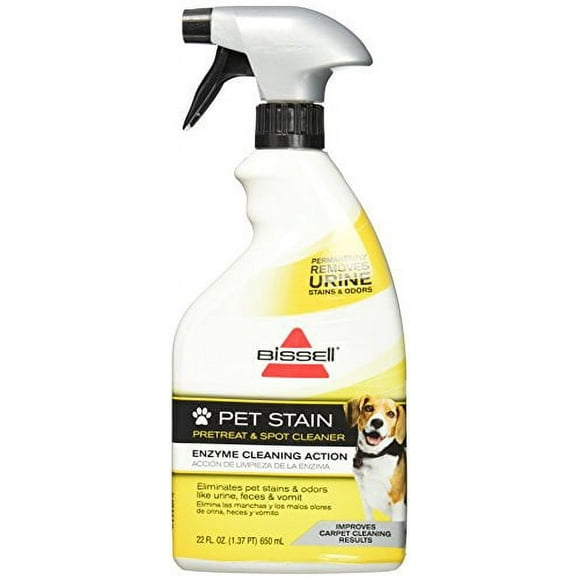 Bissell Mini Carpet Cleaner