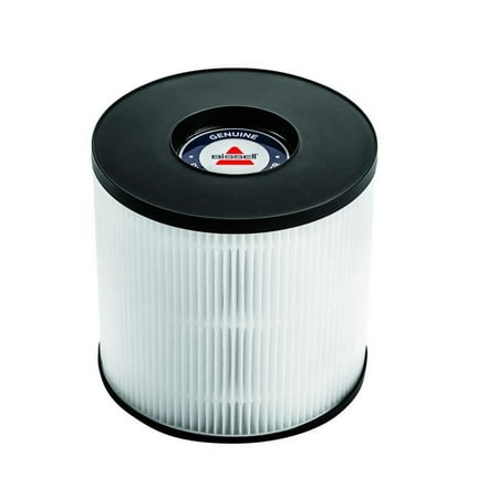 BISSELL MYair Pro Replacement HEPA and Carbon Filter - White