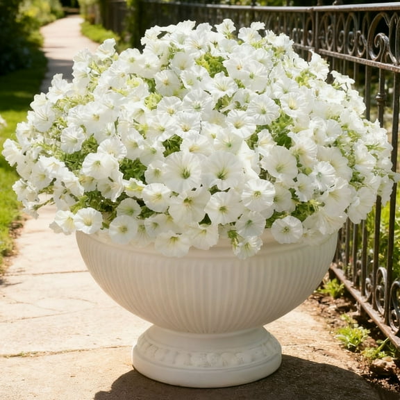 BITOUSHI Artificial Fake Plants Flowers for Outdoor Outside Spring Summer Decoration, 12 Bundles Faux Colorful Mix Morning Glory UV Sun Resistant for Porch Patio Home Planter Yard - White