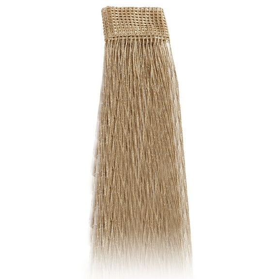 BIZHUA 200Cm*100Cm Fringe String Window Curtain Bead Chain Fringe Panel Room Partition String Curtains Beaded Door Curtain, 1X Curtain